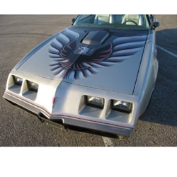 1979 Pontiac Trans Am 10th Ann Silver Decals Ultimate Kit 