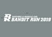 2019 Bandit Run Decal Silver & Gold - BR19Gdecal